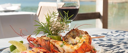 Pratos à base de lagosta fazem sucesso no cardápio